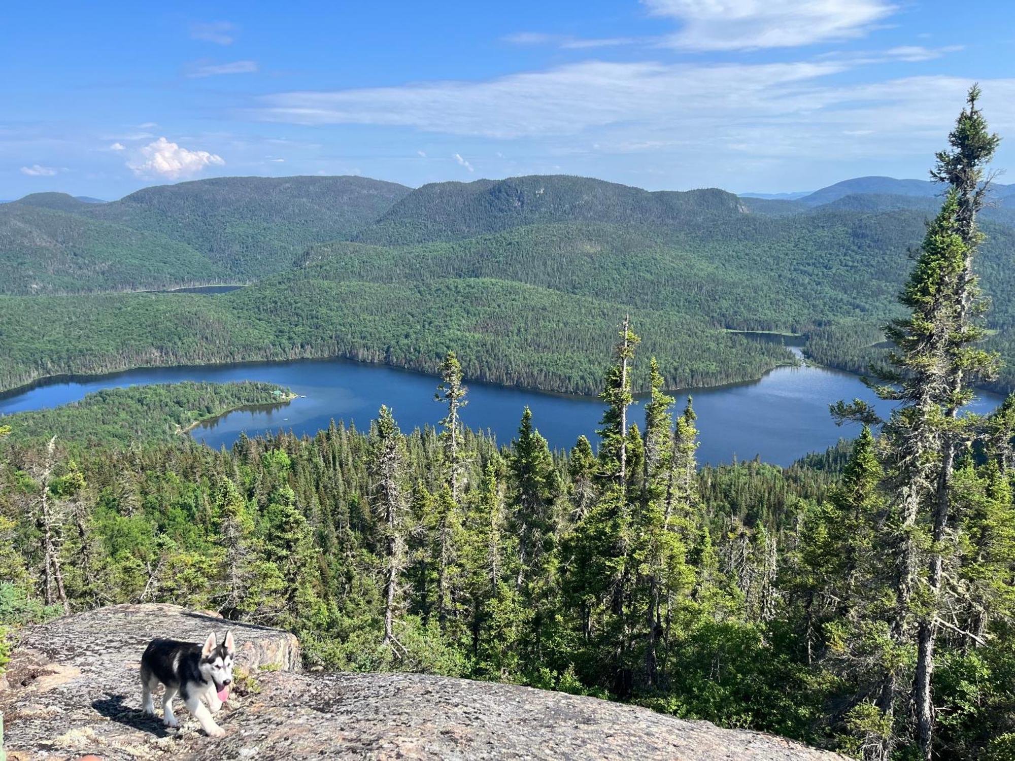 Auberge Boreale De Charlevoix Petit-Saguenay المظهر الخارجي الصورة